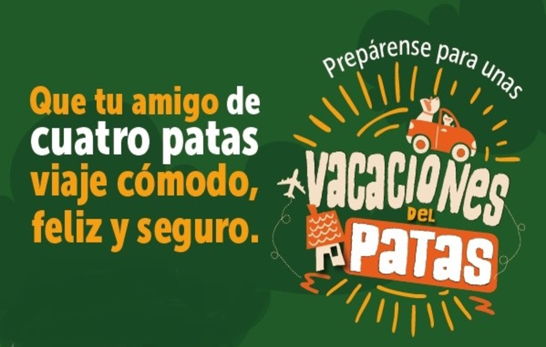 IDPYBA lanza la estrategia Vacaciones del Patas, una iniciativa con recomendaciones para viajar de forma segura con animales de compañía